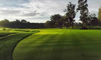 kaya palazzo golf club
